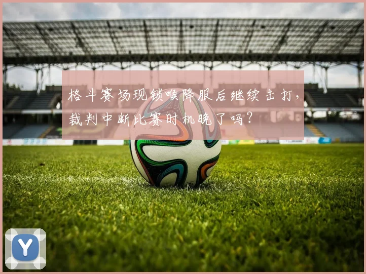 格斗赛场现锁喉降服后继续击打，裁判中断比赛时机晚了吗？