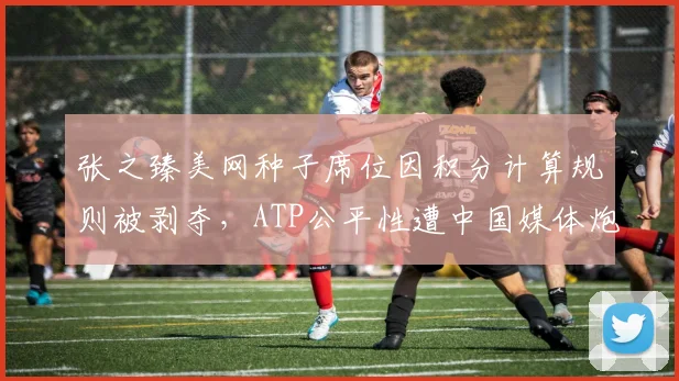 张之臻美网种子席位因积分计算规则被剥夺,ATP公平性遭中国媒体炮轰