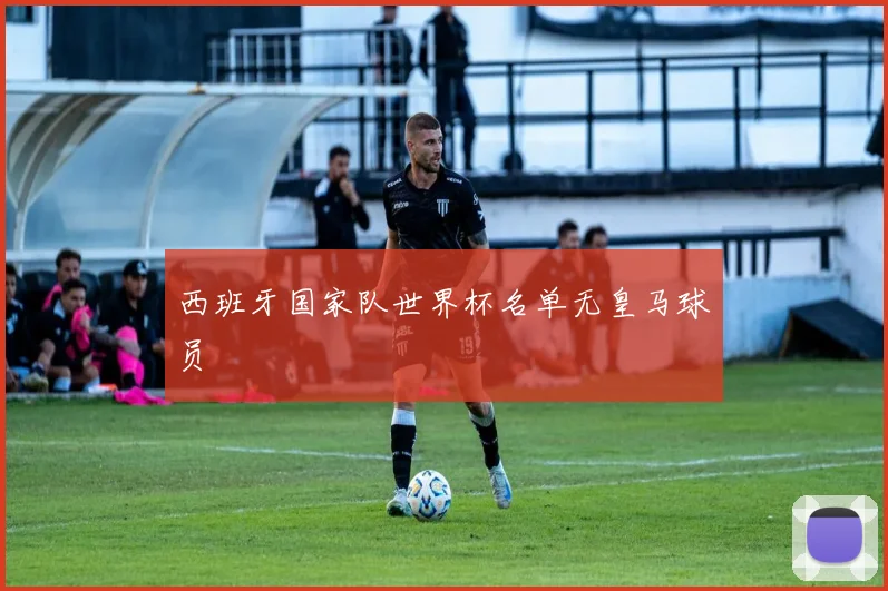 西班牙国家队世界杯名单无皇马球员